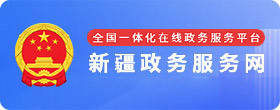 新疆政务服务网