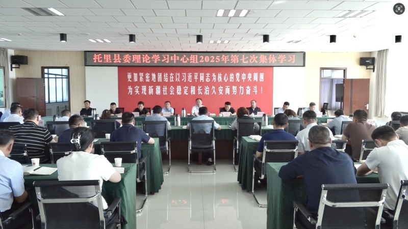 托里县委理论学习中心组2025年第七次集体学习会议召开