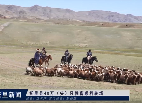 托里县40万（头）只牲畜顺利转场