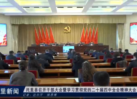 托里县召开干部大会暨学习贯彻党的二十届四中全会精神大会
