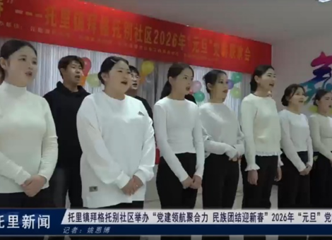 托里镇拜格托别村社区举办“党建领航聚合力   民族团结迎新春”2026年“元旦”党群联欢会