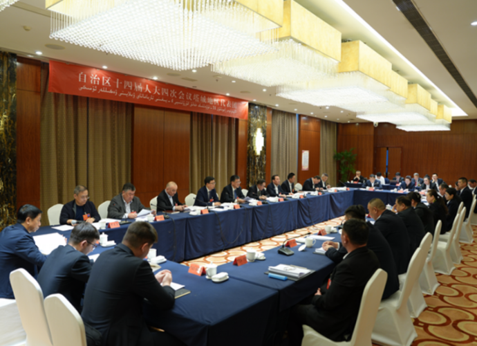 塔城地区代表团召开全体会议 审议自治区人大常委会和法检两院工作报告