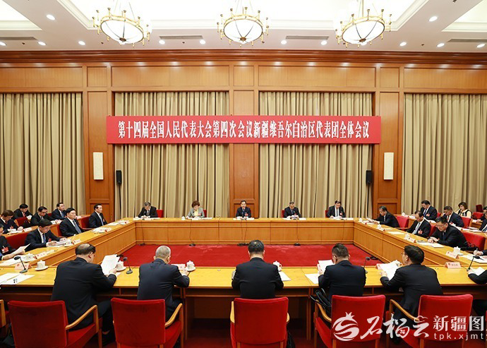 十四届全国人大四次会议新疆代表团举行全体会议