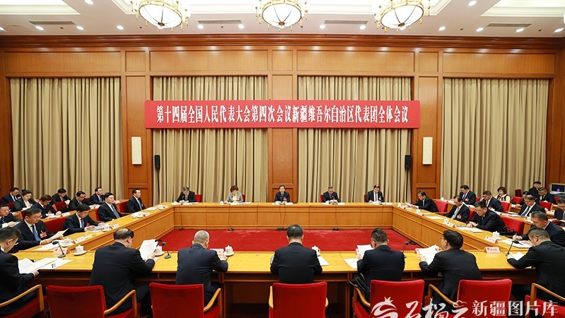 十四届全国人大四次会议新疆代表团举行全体会议