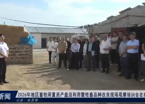 2026年地区畜牧闲置资产盘活利用暨牲畜品种改良现场观摩培训会在托里县召开