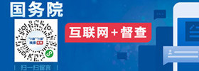 国务院互联网+督查