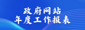 政府网站年度工作报表