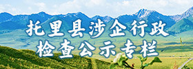 托里县涉企行政检查公示专栏